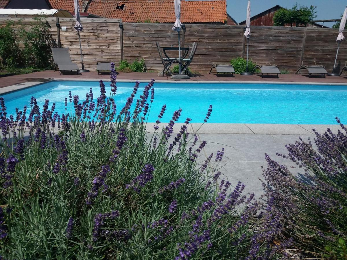 Chambres D Hotes ,Hotel ,Secret D'Une Nuit A Vicq Pres De Onnaing,Avec Piscine Exterior foto